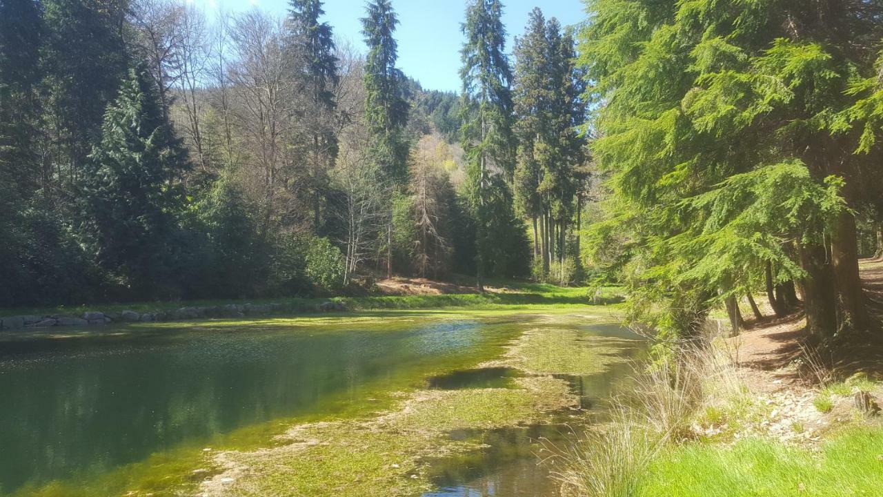 Gitesdecampagne Saint-Étienne-de-Fursac Dış mekan fotoğraf